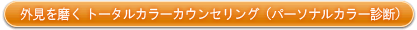 外見を磨く トータルカラーカウンセリング（パーソナルカラー診断）